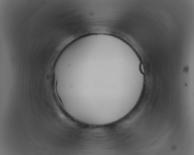 X0000101120433200807172004