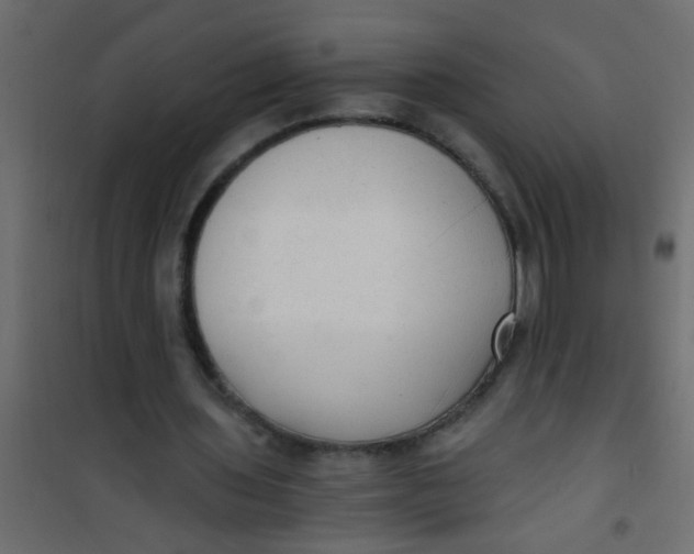 X0000101120435200807172004