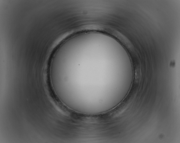 X0000101120436200807172004