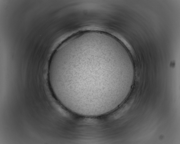 X0000101120437200807172004