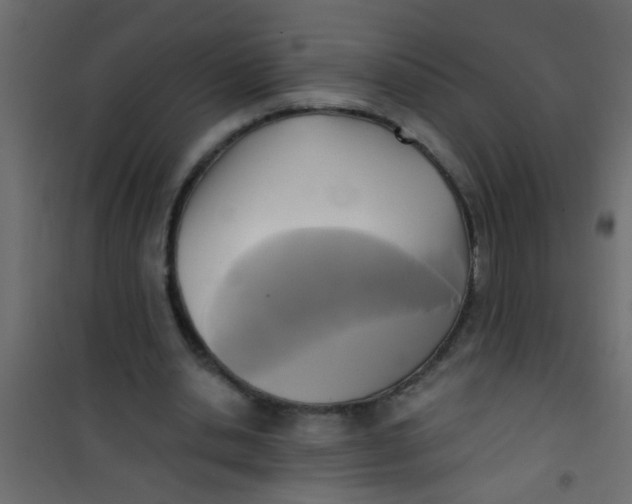 X0000101120438200807172004