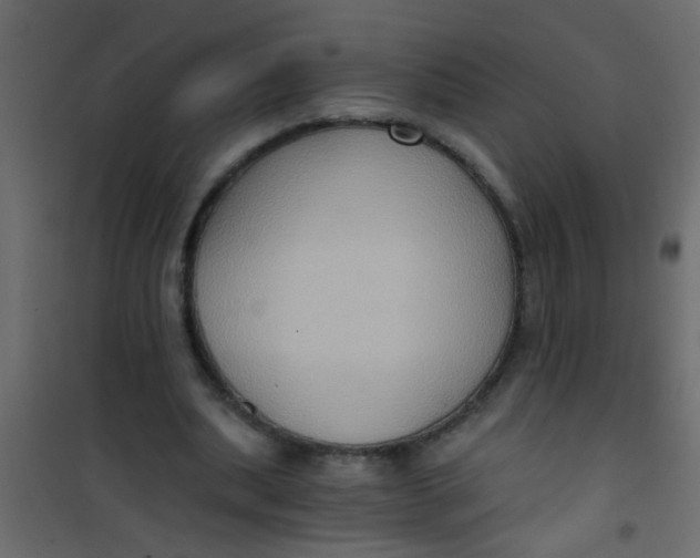 X0000101120439200807172004
