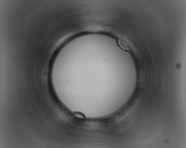 X0000101120440200807172004