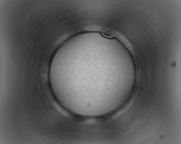 X0000101120441200807172004