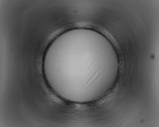 X0000101120442200807172004