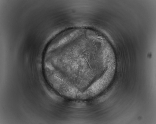 X0000101120443200807172004