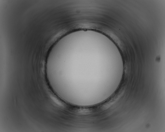X0000101120445200807172004