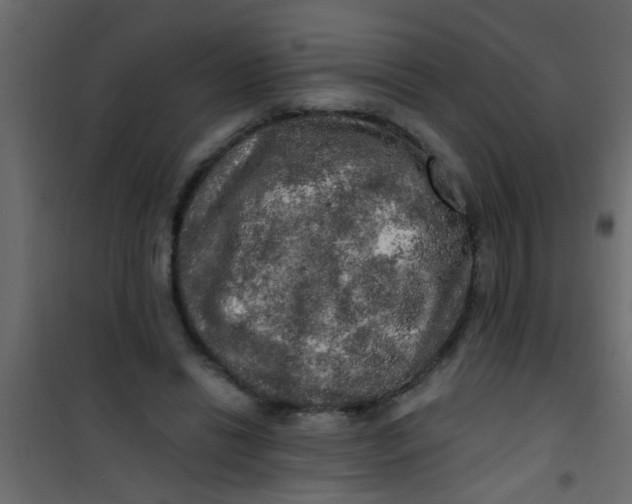 X0000101120446200807172004