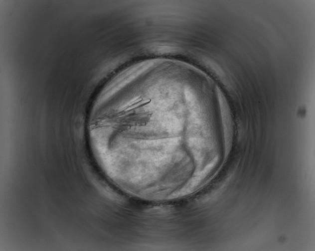 X0000101120447200807172004