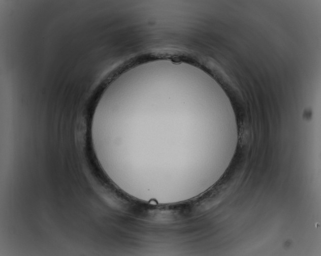 X0000101120448200807172004