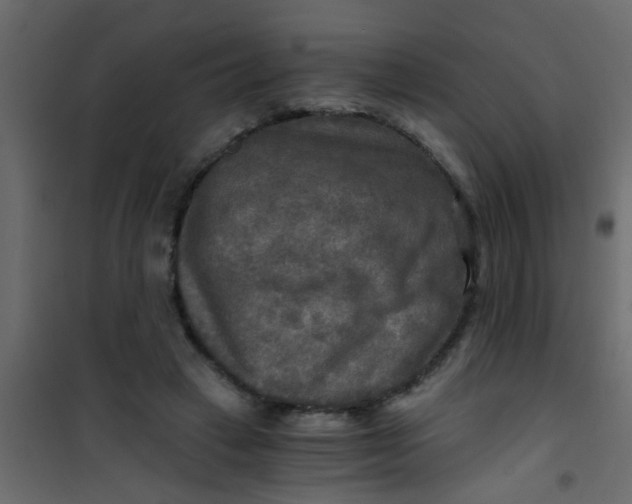 X0000101120449200807172004