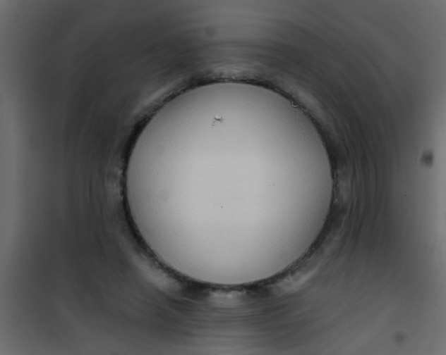 X0000101120450200807172004
