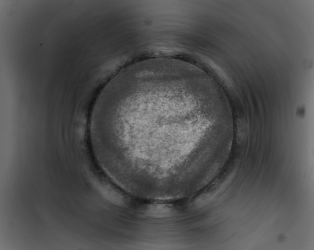 X0000101120451200807172004