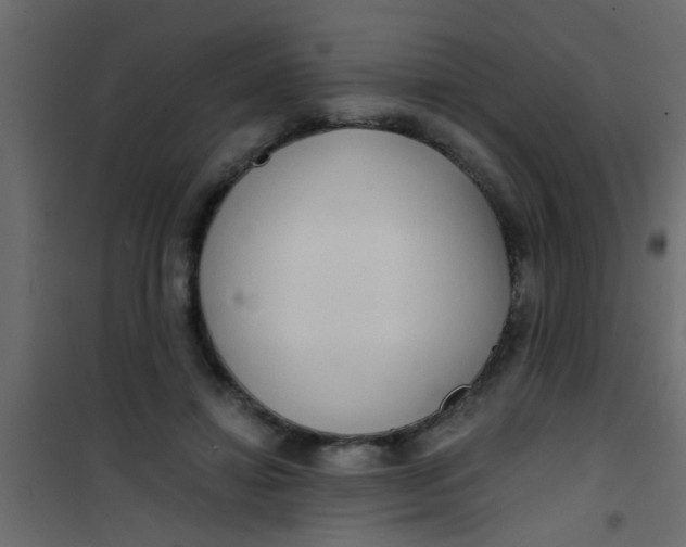 X0000101120452200807172004