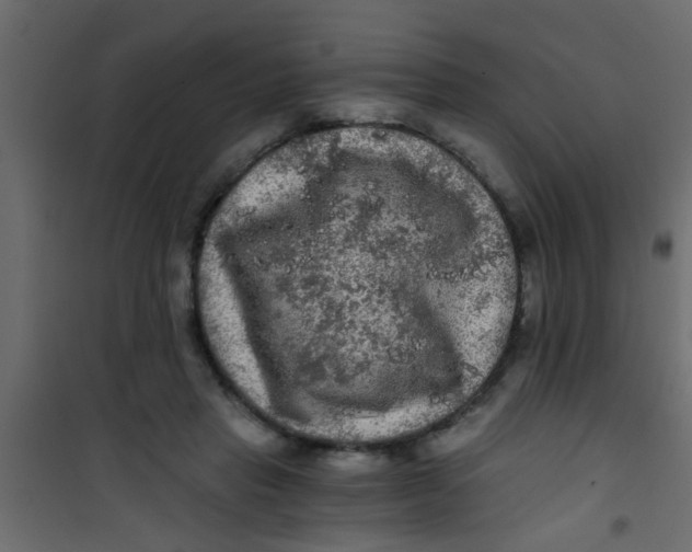 X0000101120453200807172004