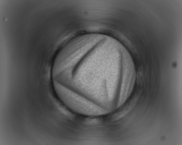 X0000101120454200807172004