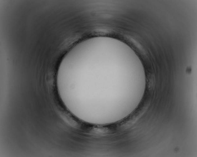 X0000101120455200807172004