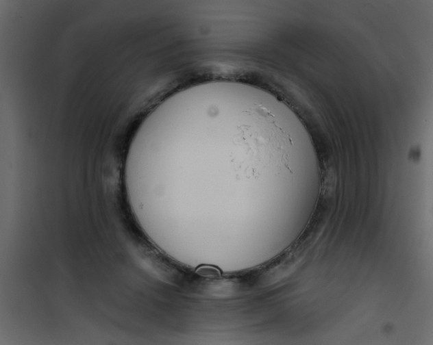 X0000101120456200807172004