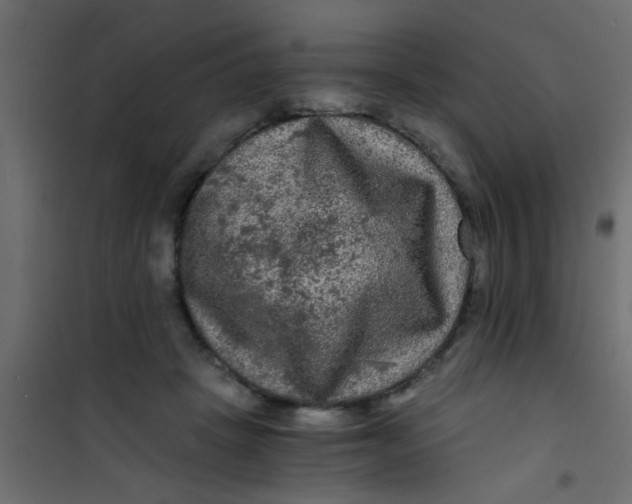 X0000101120457200807172004