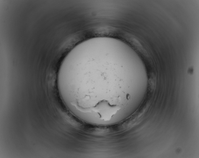 X0000101120458200807172004