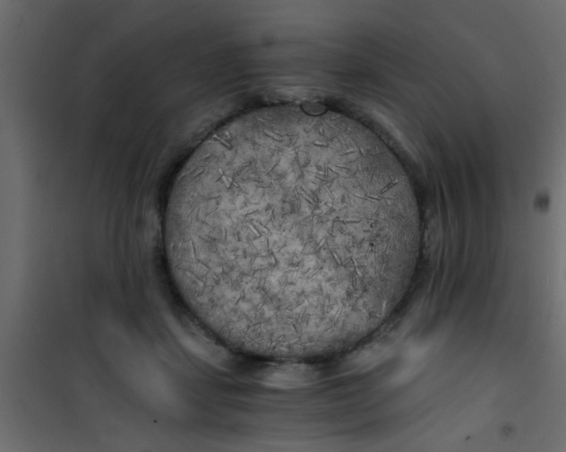 X0000101120459200807172004