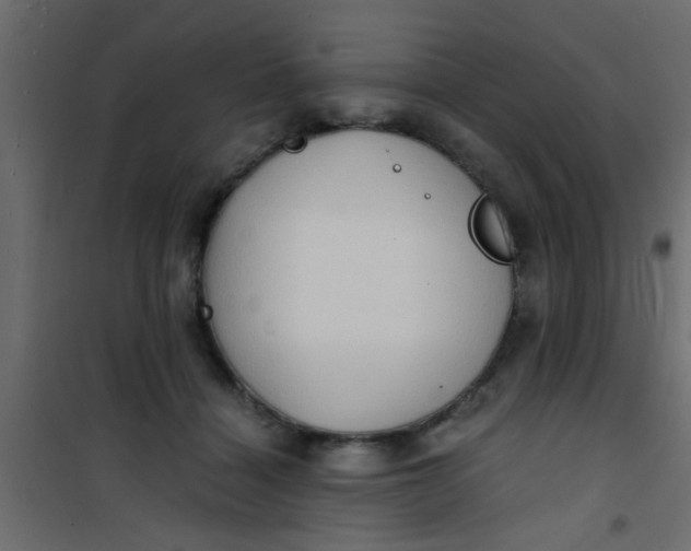 X0000101120460200807172004