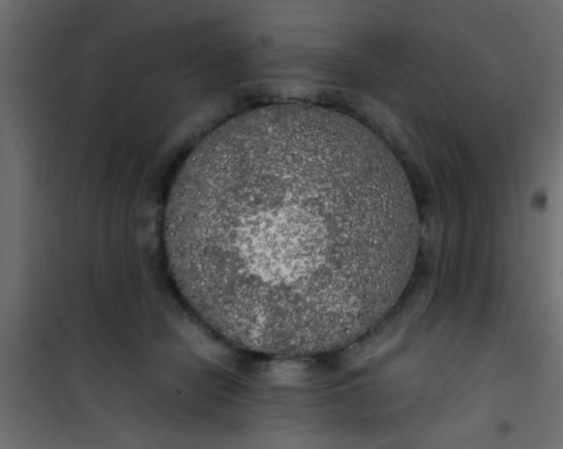 X0000101120462200807172004
