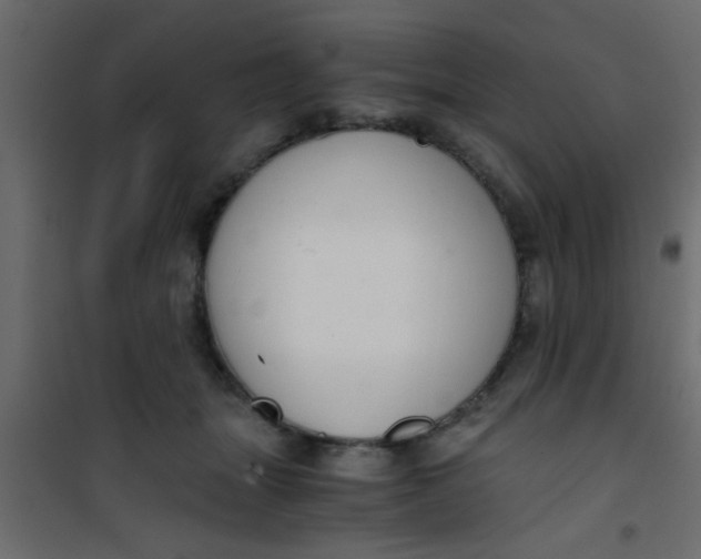 X0000101120463200807172004