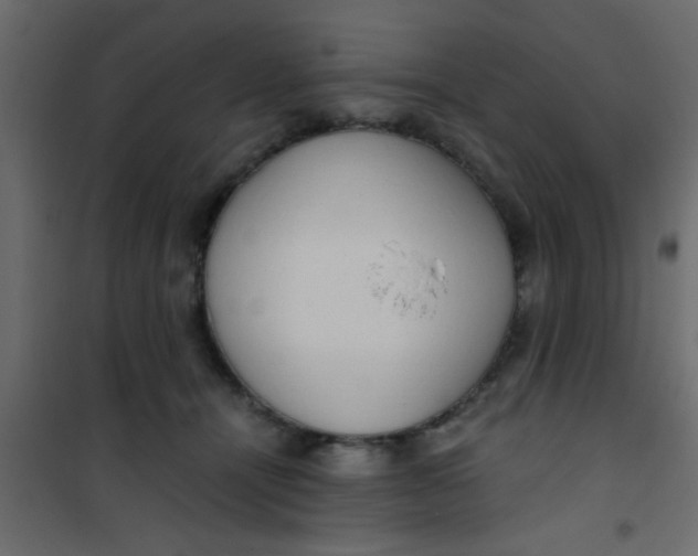 X0000101120464200807172004