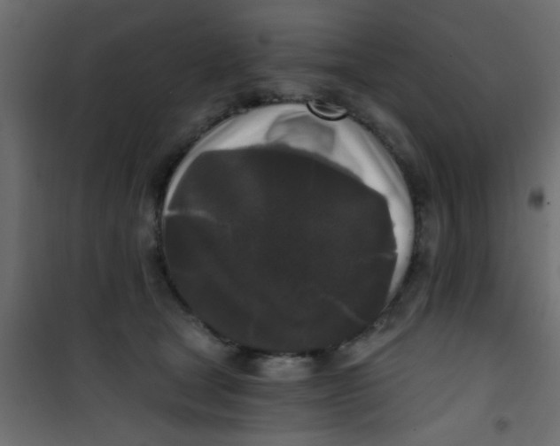 X0000101120465200807172004