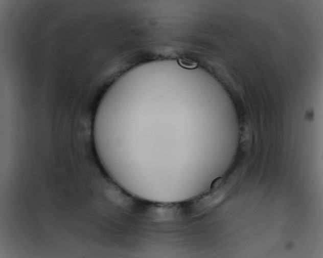 X0000101120466200807172004
