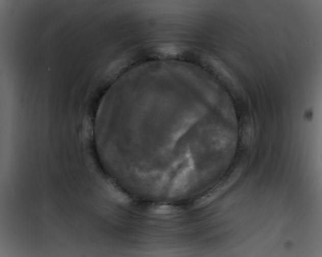 X0000101120467200807172004