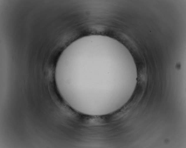 X0000101120468200807172004