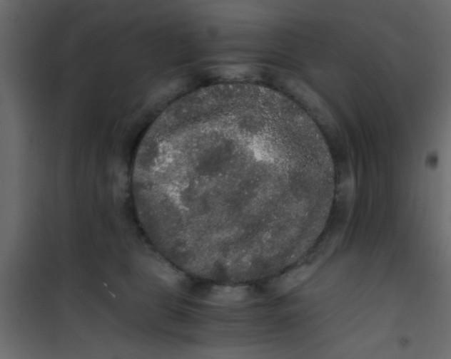 X0000101120469200807172004