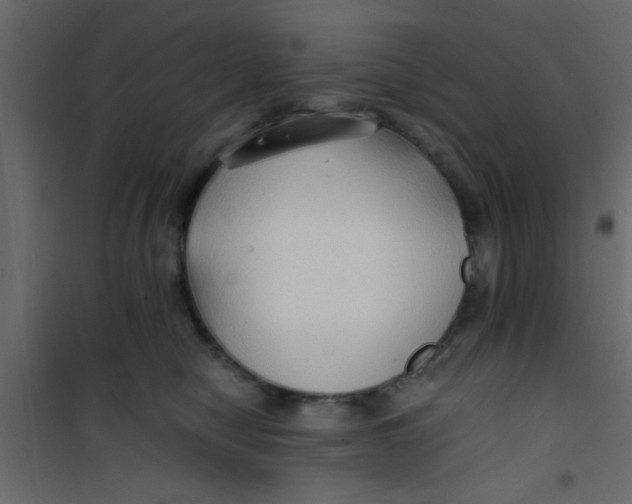 X0000101120470200807172004