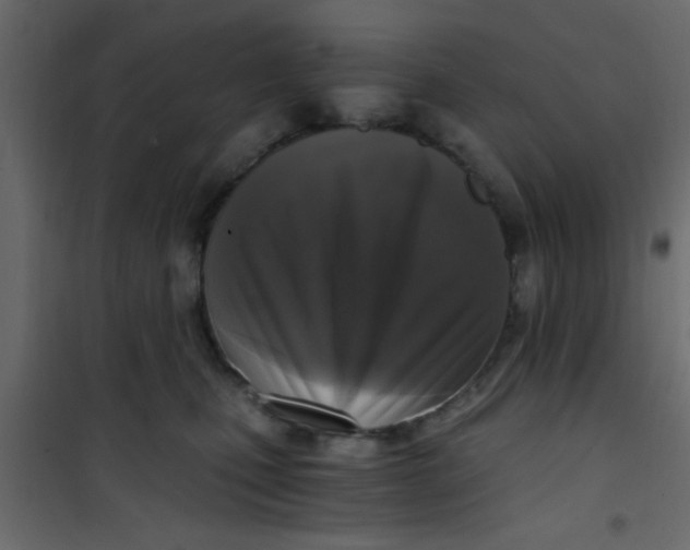 X0000101120471200807172004