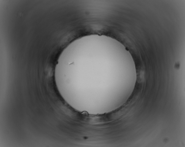 X0000101120472200807172004
