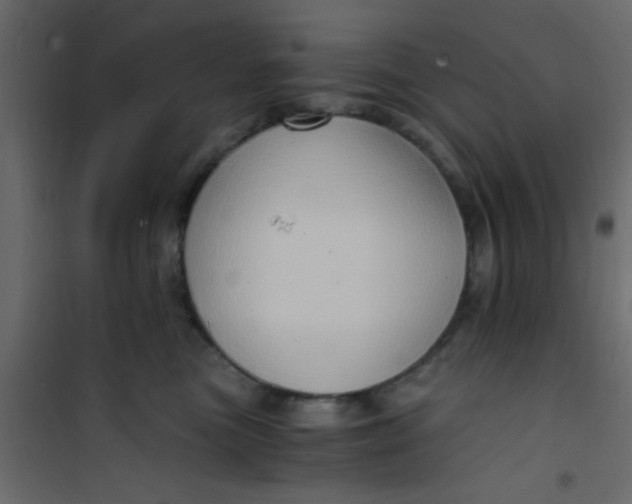 X0000101120473200807172004