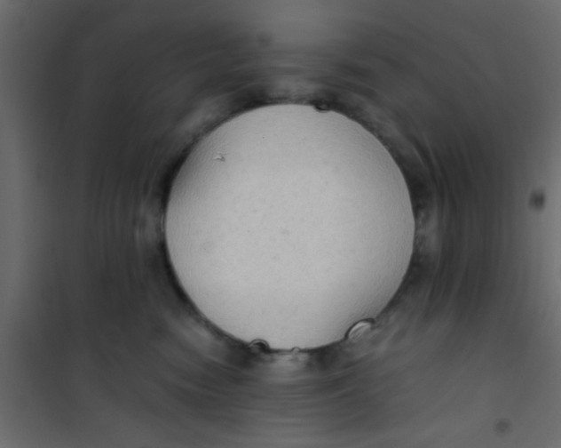 X0000101120474200807172004