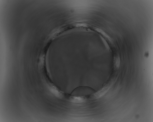 X0000101120475200807172004
