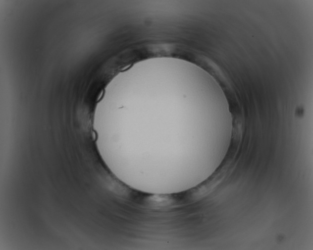 X0000101120477200807172004