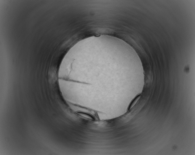 X0000101120478200807172004