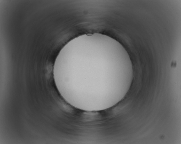 X0000101120480200807172004