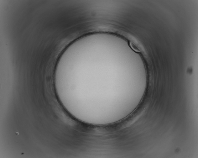 X0000101120481200807172004
