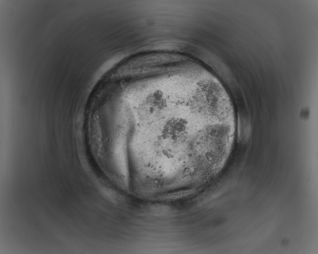 X0000101120483200807172004