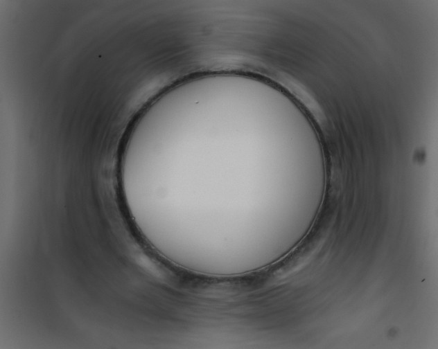 X0000101120485200807172004
