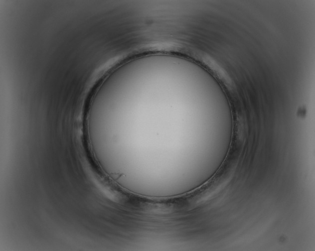 X0000101120486200807172004