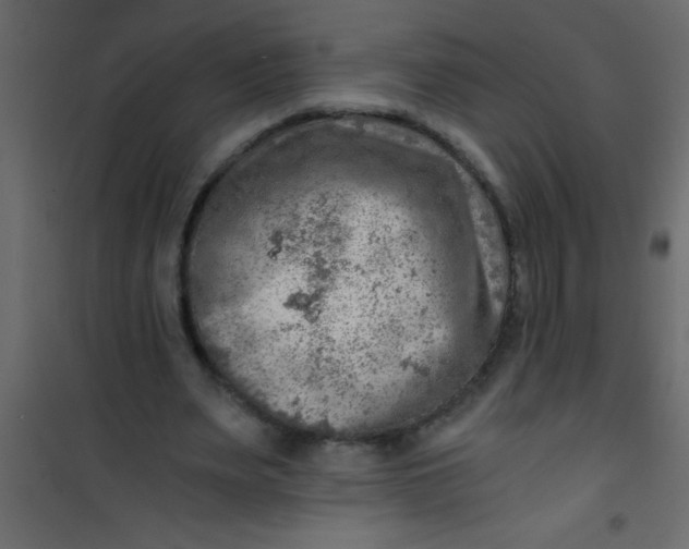 X0000101120487200807172004