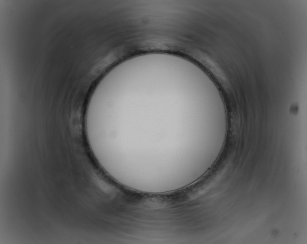 X0000101120489200807172004