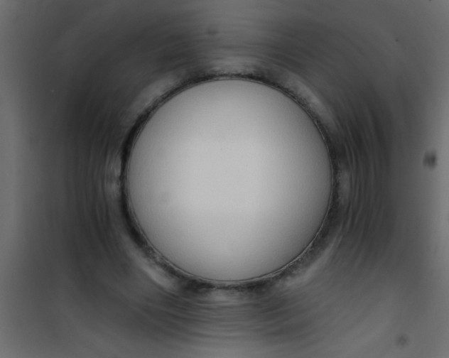 X0000101120490200807172003
